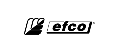 Logo Client Crazy Media